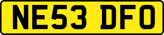 NE53DFO