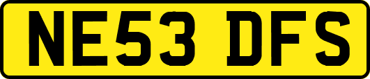 NE53DFS