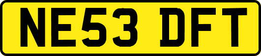 NE53DFT