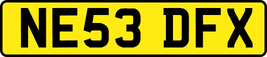 NE53DFX