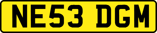 NE53DGM