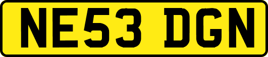 NE53DGN