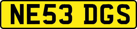 NE53DGS