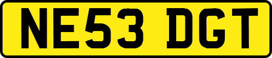 NE53DGT