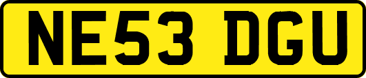 NE53DGU