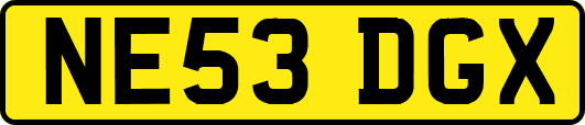 NE53DGX