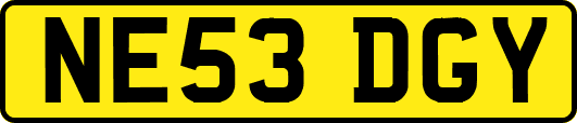 NE53DGY