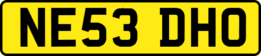 NE53DHO