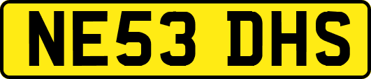 NE53DHS