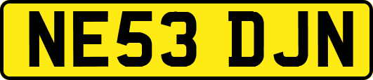 NE53DJN