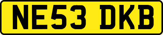NE53DKB