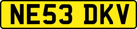 NE53DKV