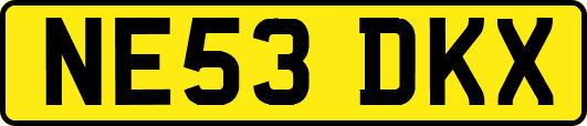 NE53DKX