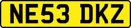 NE53DKZ