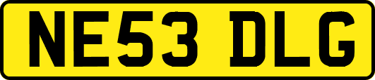NE53DLG