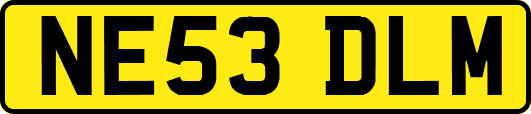NE53DLM