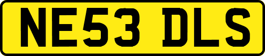 NE53DLS