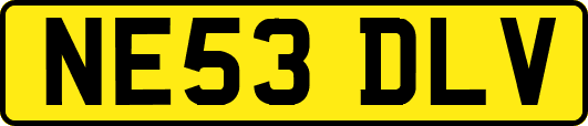 NE53DLV