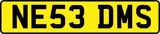 NE53DMS