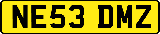 NE53DMZ