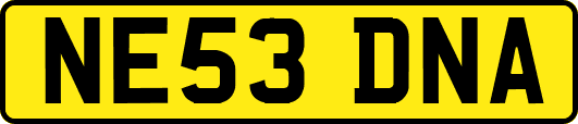 NE53DNA