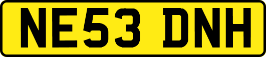 NE53DNH