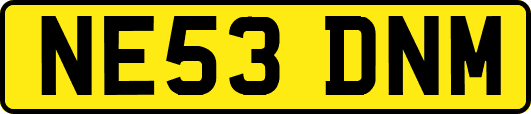 NE53DNM