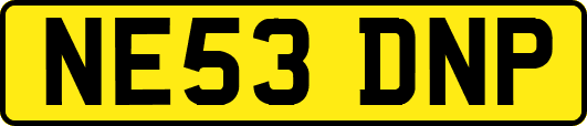 NE53DNP