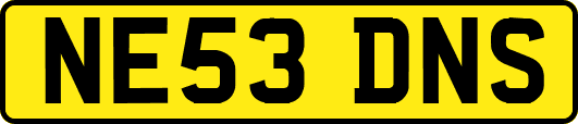 NE53DNS