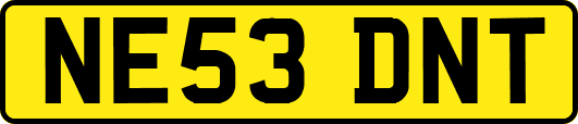 NE53DNT