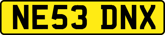 NE53DNX