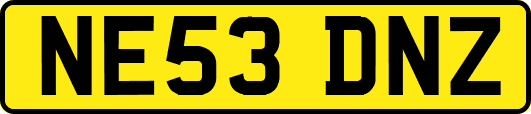NE53DNZ