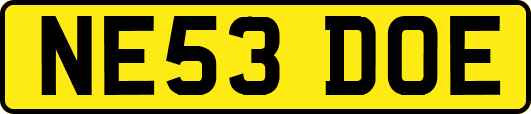 NE53DOE