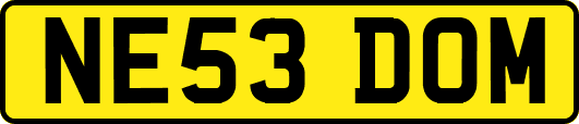 NE53DOM