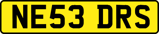 NE53DRS