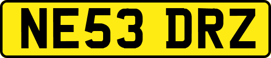 NE53DRZ