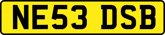 NE53DSB