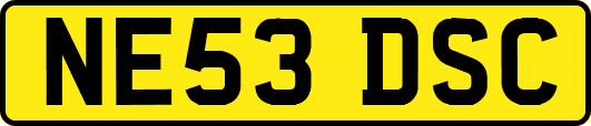 NE53DSC