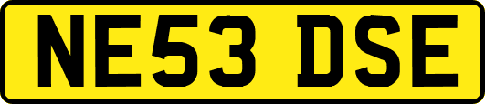 NE53DSE