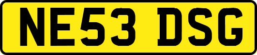 NE53DSG