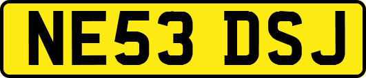 NE53DSJ