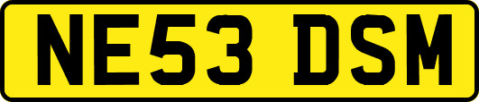 NE53DSM