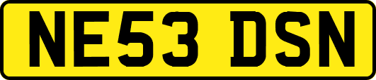 NE53DSN