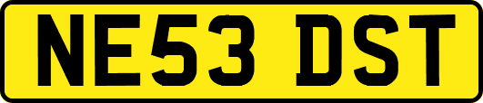 NE53DST