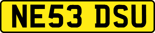 NE53DSU