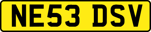 NE53DSV