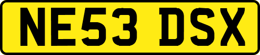 NE53DSX