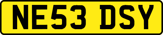NE53DSY