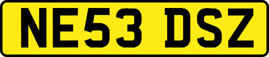 NE53DSZ