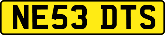 NE53DTS